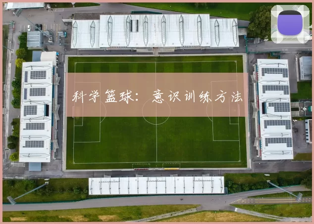 科学篮球：意识训练方法
