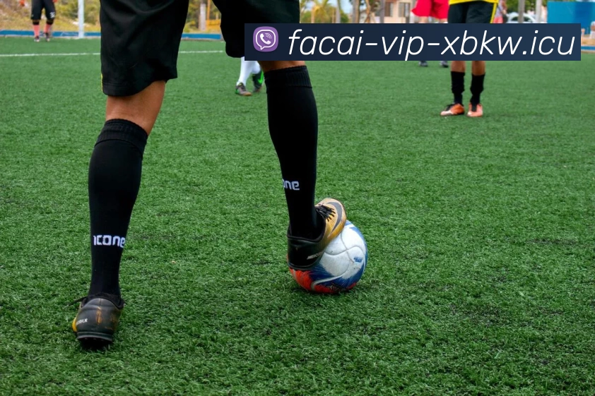 爱游戏体育注册APP 高清赛事图